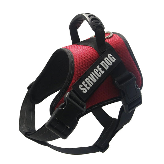 Red custom pet harness with "Service Dog" label and adjustable straps.