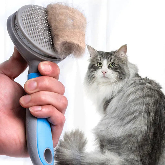 Pet steel needle brush with blue and pink handle, removing hair from a fluffy gray and white cat.