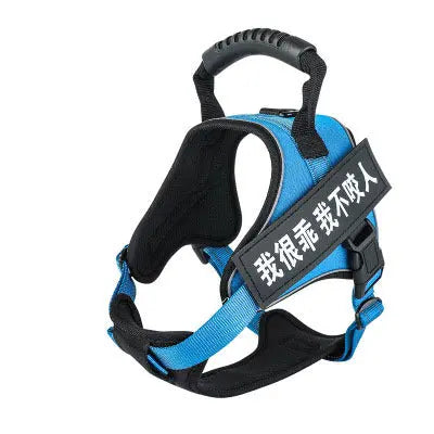 Blue pet harness with adjustable straps and handle.