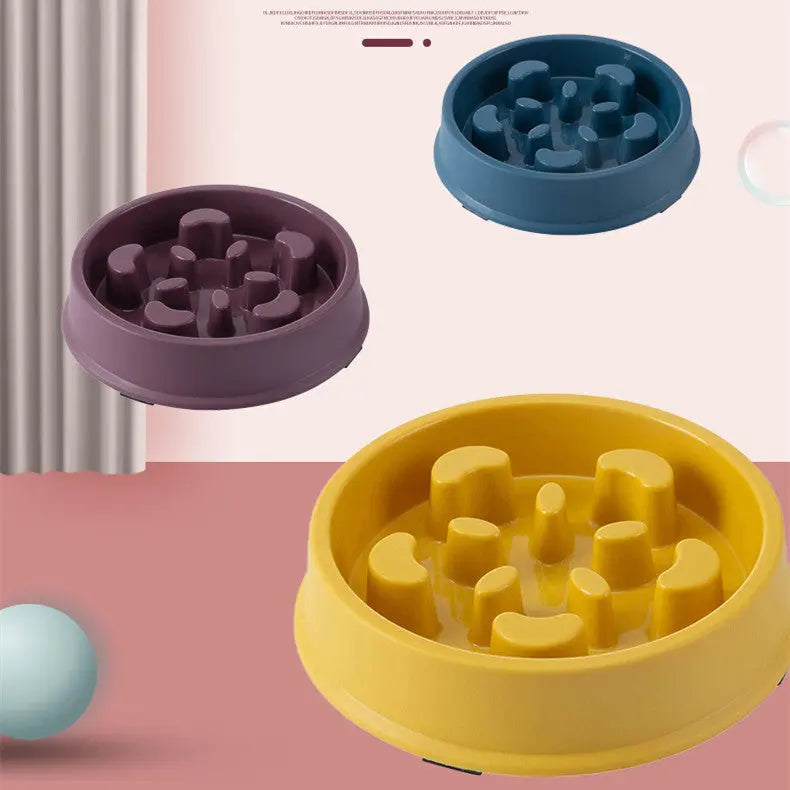 Petal-shaped plastic pet slow feeding bowls in blue, purple, and yellow.