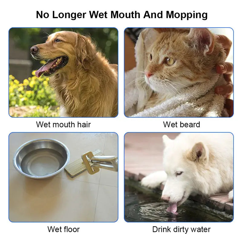 1.5L cat and dog water bowl preventing wet mouth and mess.