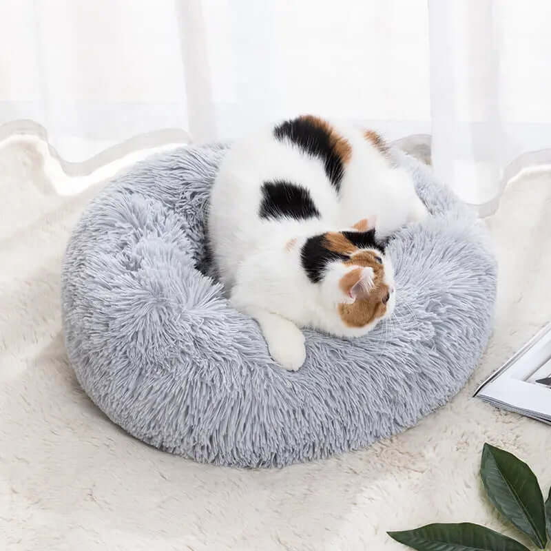 Winter warm pet bed in light gray with a cat resting inside.