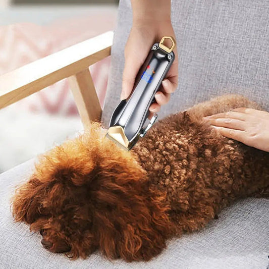 Pet electric clipper grooming a fluffy dog on a couch.