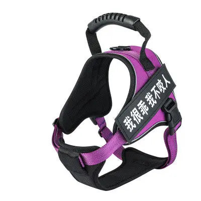 Purple pet harness with adjustable straps and padded design.