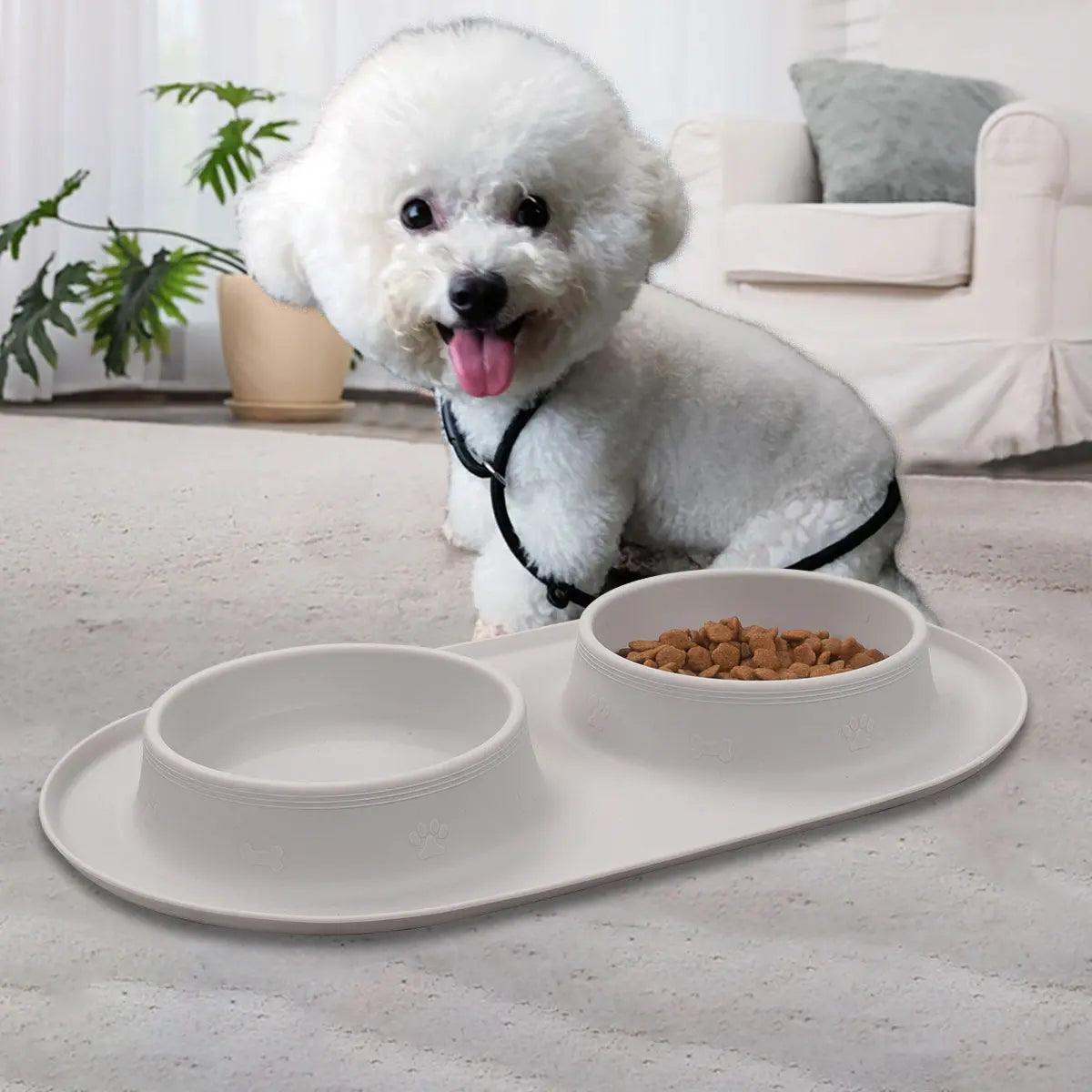 Light gray silicone pet feeding bowl set on a living room floor near a small white dog.