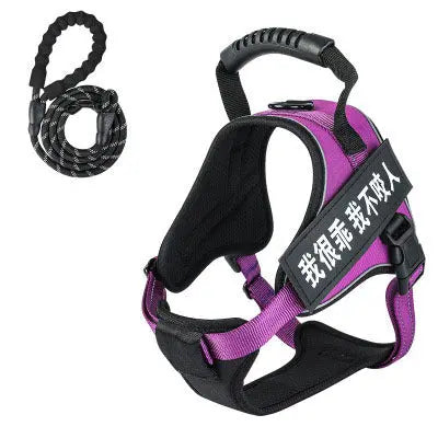 Purple pet harness with leash featuring adjustable straps and padded handle.