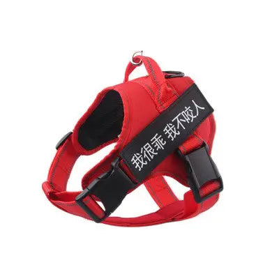 Red pet harness with adjustable straps.