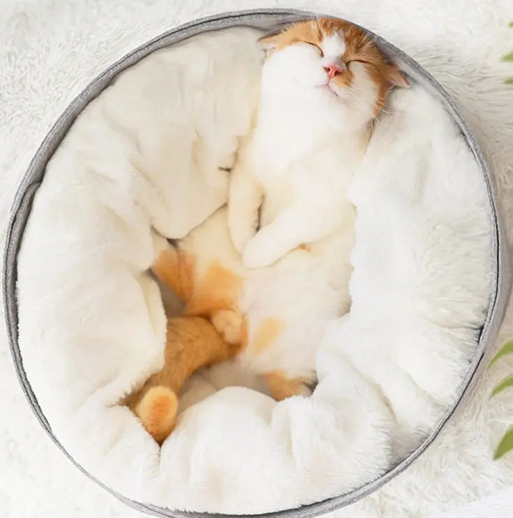 Cozy pet bed with a cat resting inside, featuring a plush interior for warmth and comfort.