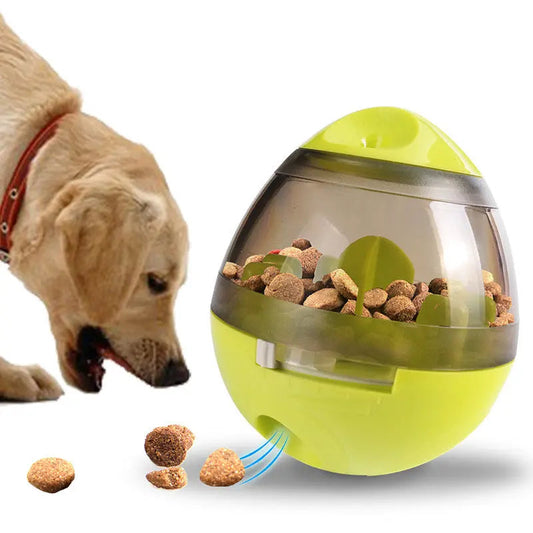 Dog playing with pet food feeder toy, green and transparent design with treats inside.