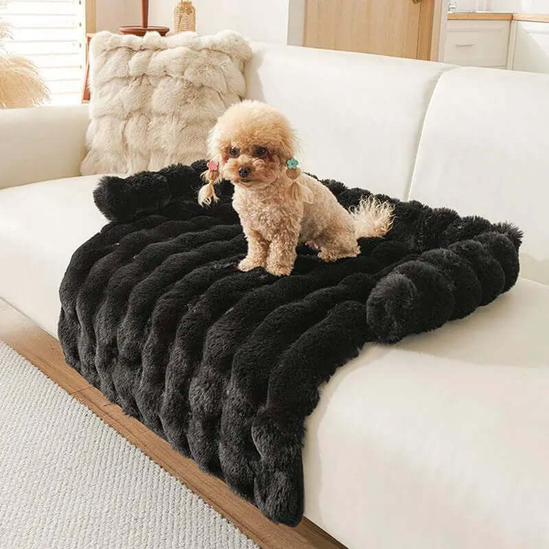 Pets dog mat with thick plush design on a sofa with a dog sitting, winter thermal non-slip pet product.