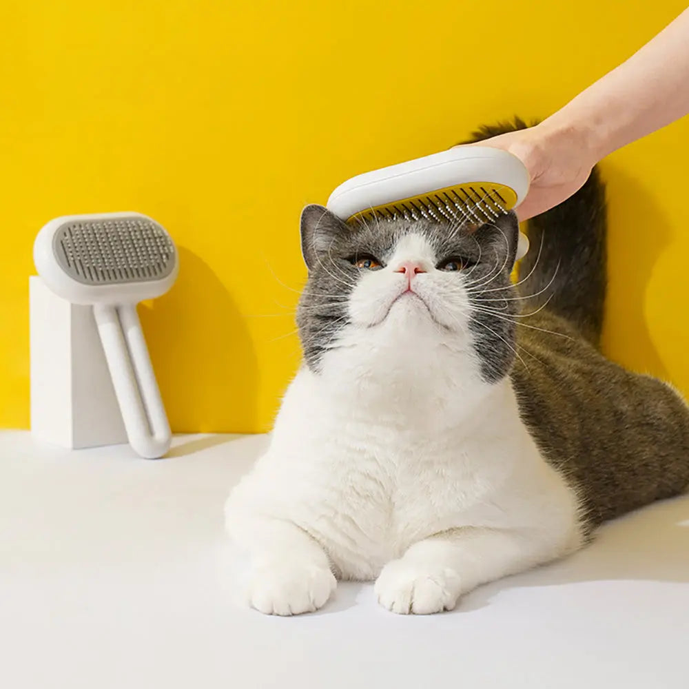 Cat brush with stainless steel comb and rubber massage needles gently grooming a cat.