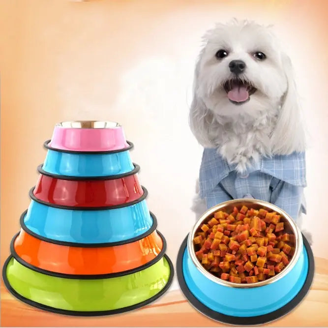 Colorful stainless steel pet feeding basin with dog.