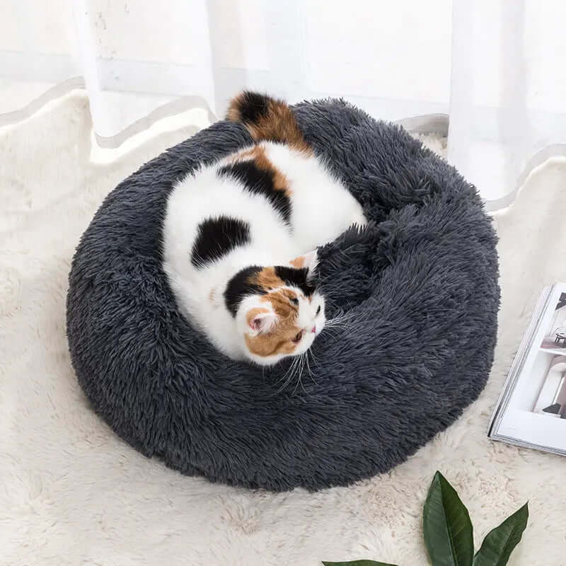 Winter Warm Pet Bed in dark gray with cat lying on it, cozy and soft design.