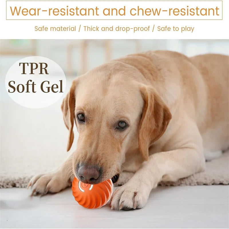 Wear-resistant chew-proof smart dog toy ball with TPR soft gel, perfect for puppies and kittens.