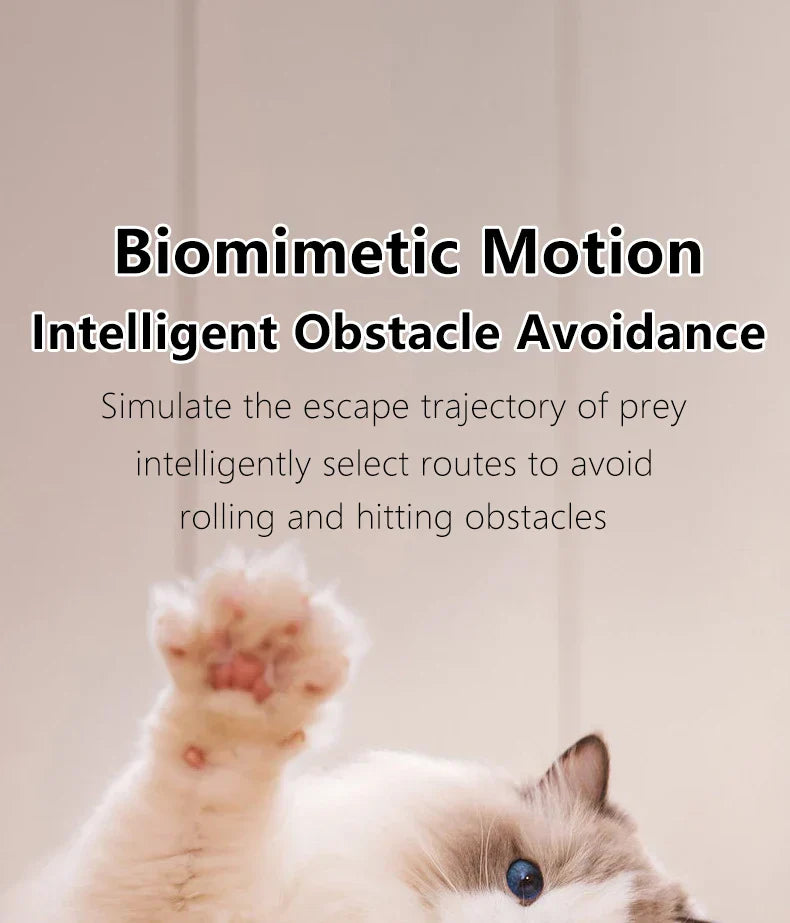 ZoomieRoller™ Smart Toy with biomimetic motion and intelligent obstacle avoidance for interactive cat play.