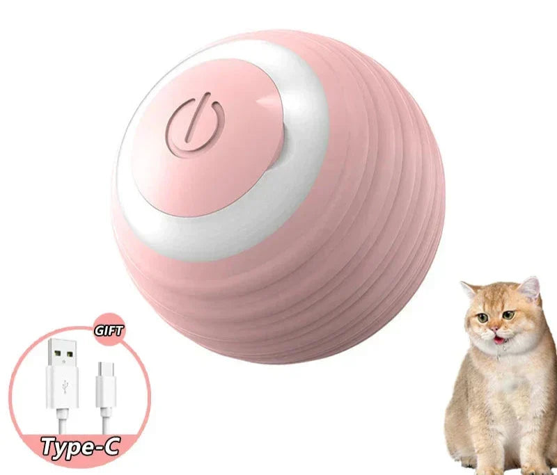 ZoomieRoller™ Smart Toy for cats in pink with Type-C cable and a cat nearby.