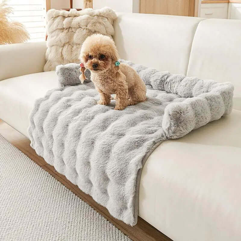 Plush winter thermal dog mat on sofa with a small dog, 75x75cm, non-slip design.