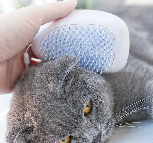 Hand brushing a gray cat with a white pet brush, featuring soft bristles for grooming.