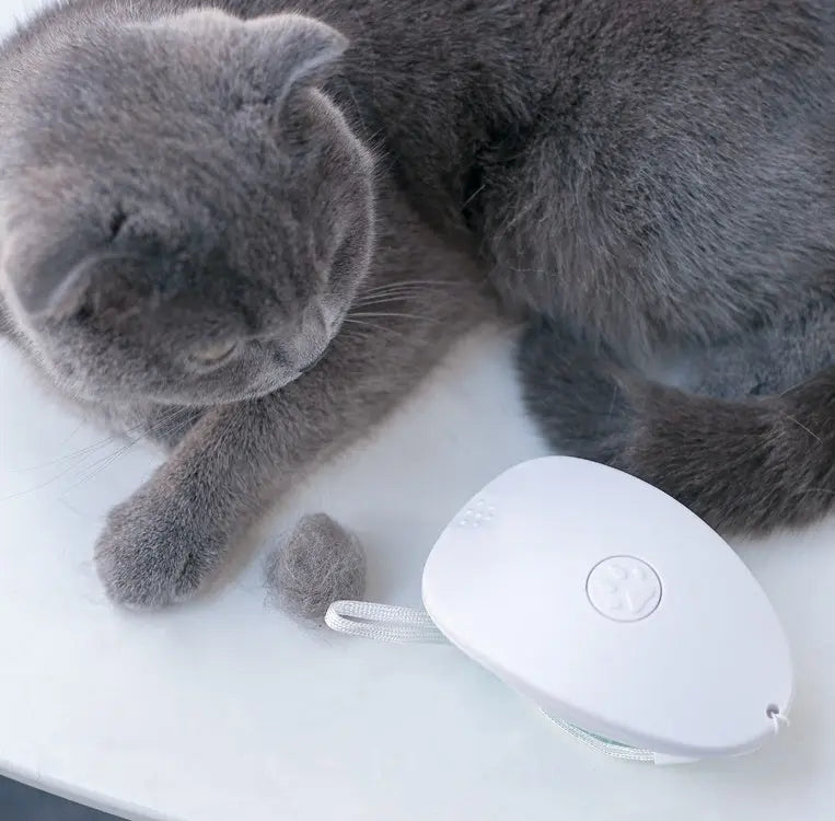 White cat hair brush next to a gray cat.