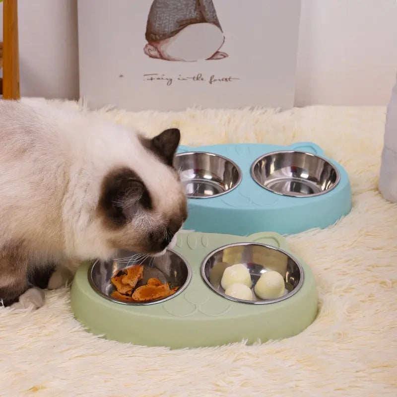 Stainless steel cat bowls in green and blue with a cat eating.