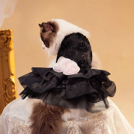 Pet wearing a princess-style black wedding dress with ruffles and a pink rose, made of polyester.