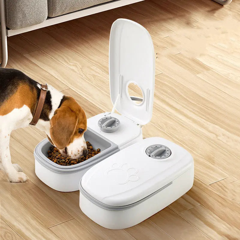 Automatic pet feeder dispensing food for a dog.